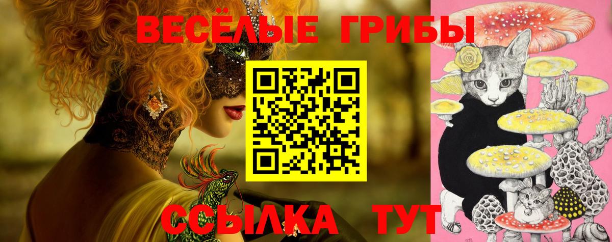 Псилоцибиновые грибы GOLDEN TEACHER Нурлат